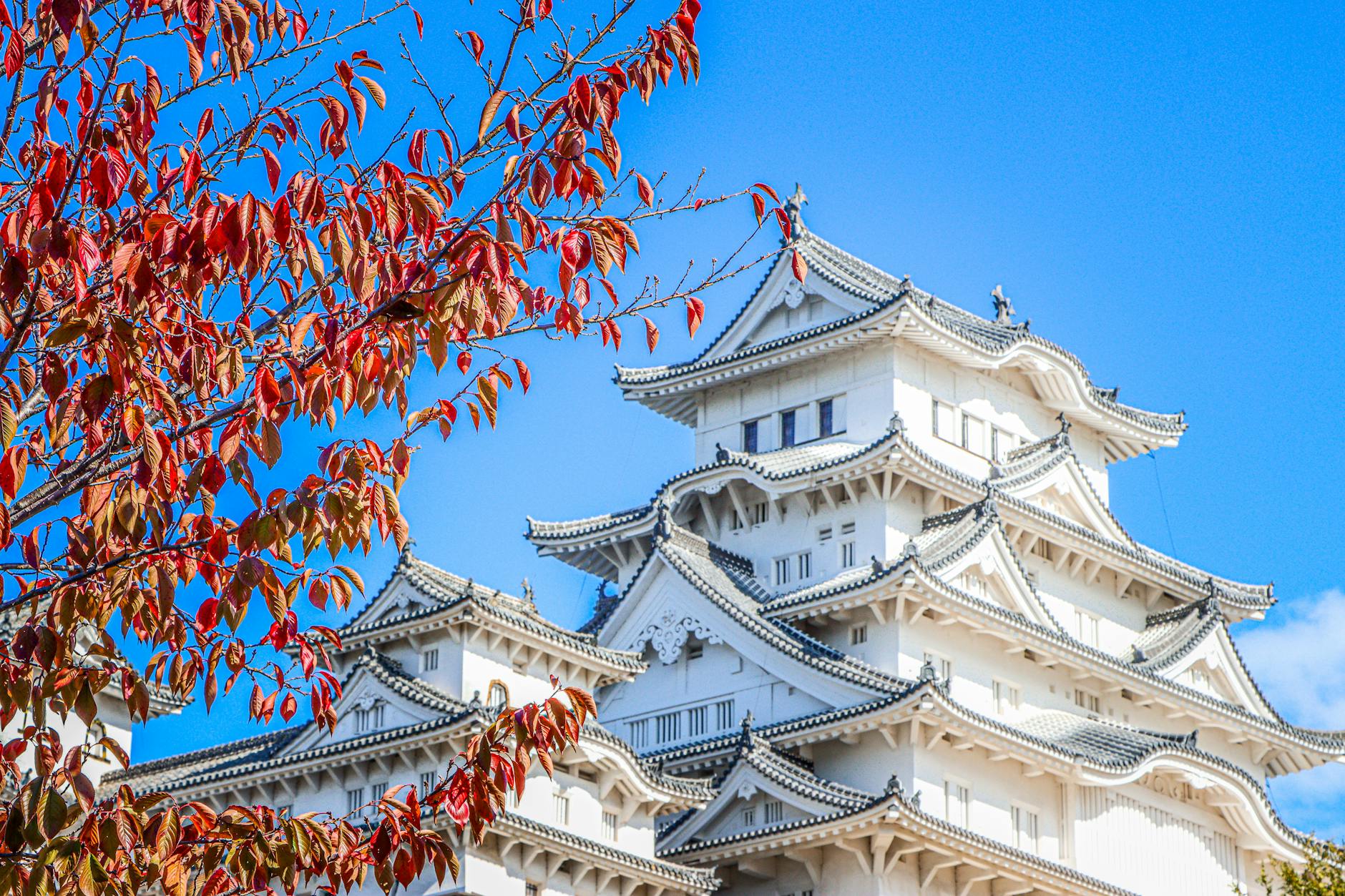 A stunning view of Himeji Castle with vibrant autumn leaves against a clear blue sky.